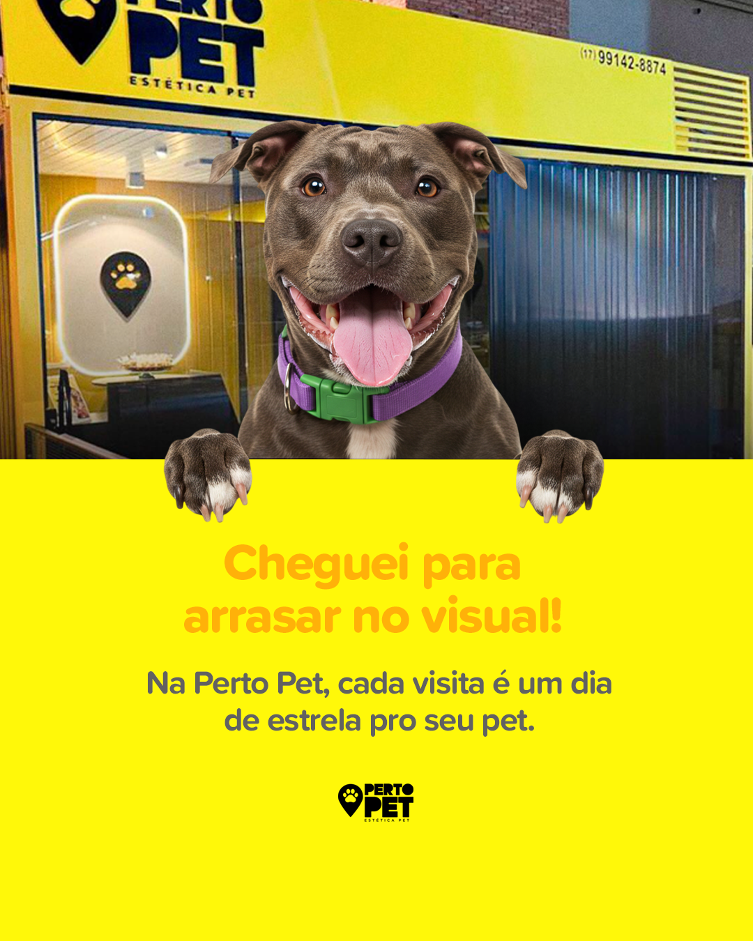 Franquia Pet