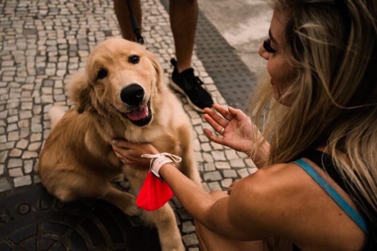 franquia de banho e tosa pet vale a pena 2026